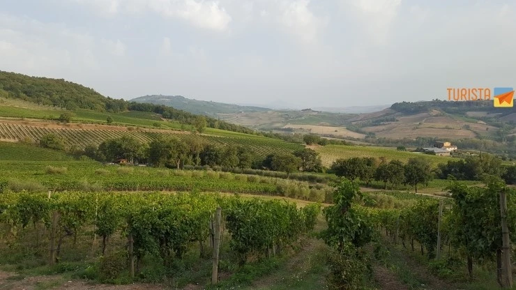 20170810_073359.jpg?type=w2