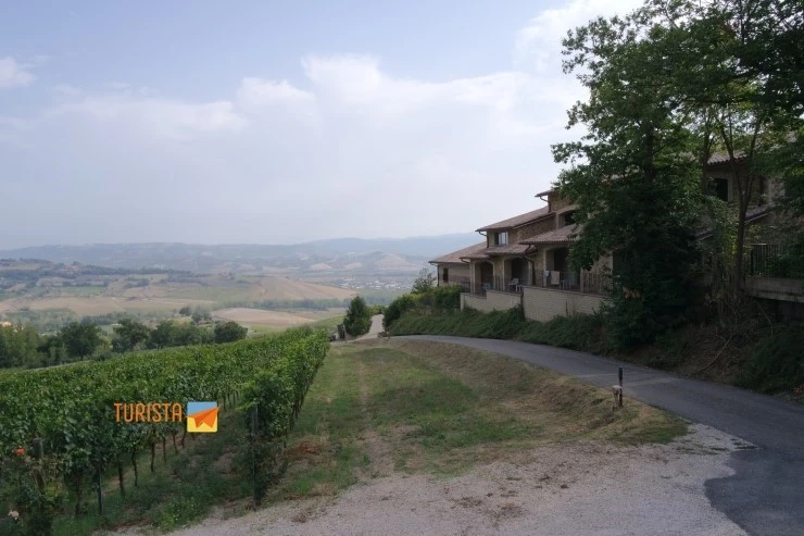 SAM_1015.JPG?type=w2