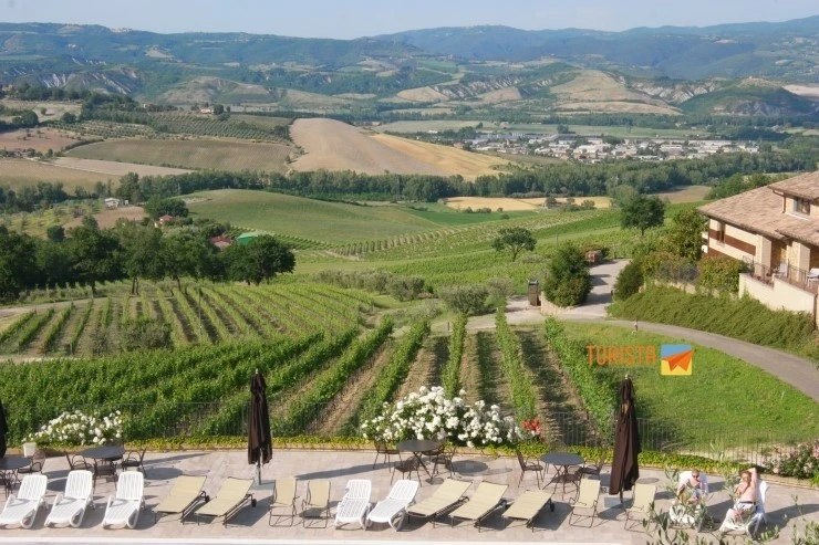 05250003.JPG?type=w2