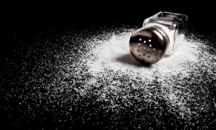 1023925.large.jpg?type=w773