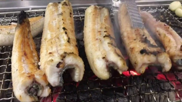 maxresdefault.jpg?type=w773