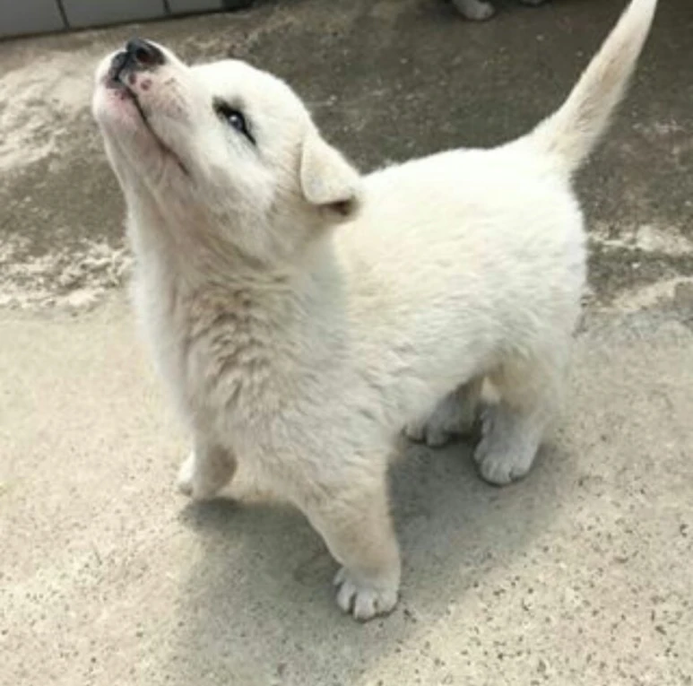 KakaoTalk_20170801_182520432.jpg?type=w773