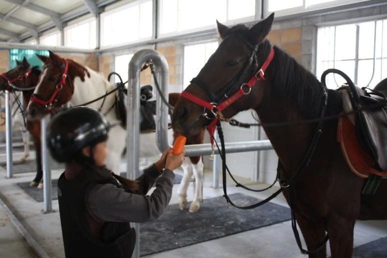 image_6564518781520728775081.jpg?type=w773