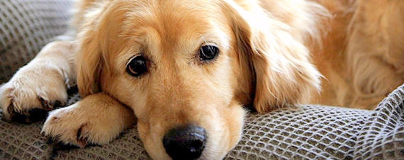 image_8782643491505274064722.jpg?type=w773