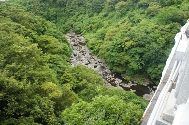 DSC01028.jpg?type=w773