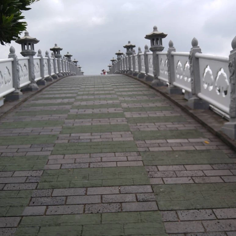 11820523_414844528718415_1971560047_n.jpg?type=w773