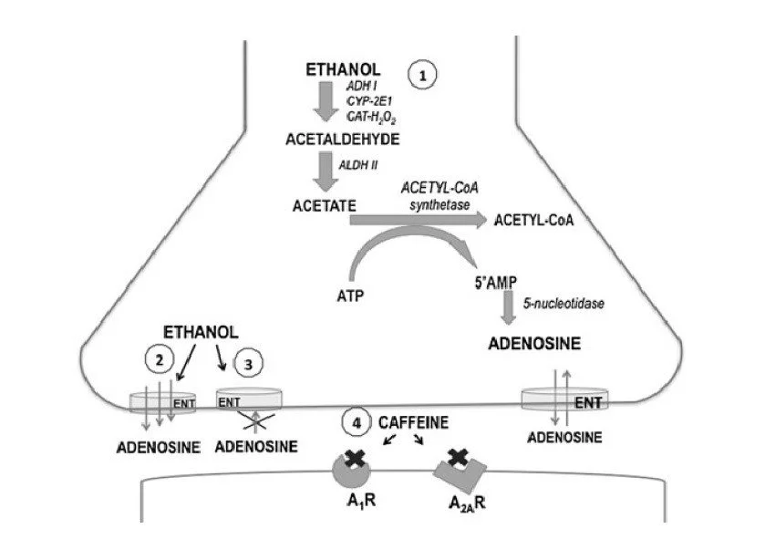 7893_7332_640.jpg?type=w1200