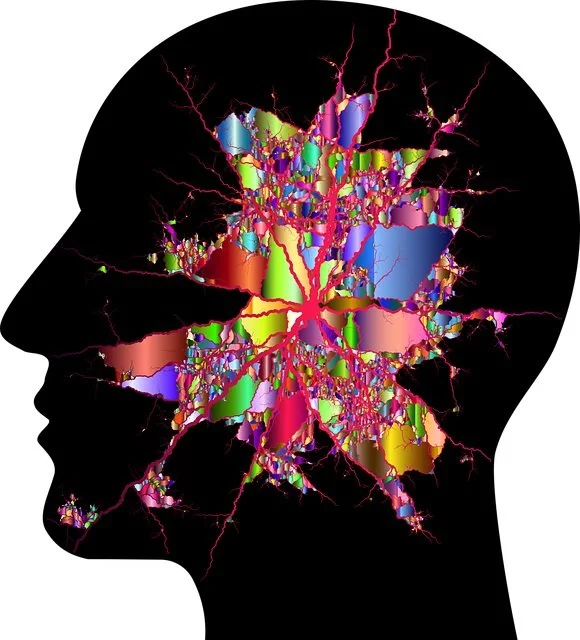 cranium-3244126_640.jpg?type=w1200