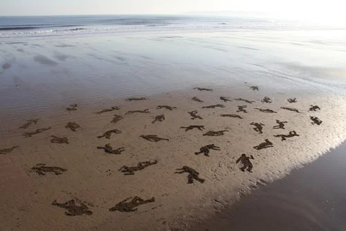 5060_4896_5242.jpg?type=w1200