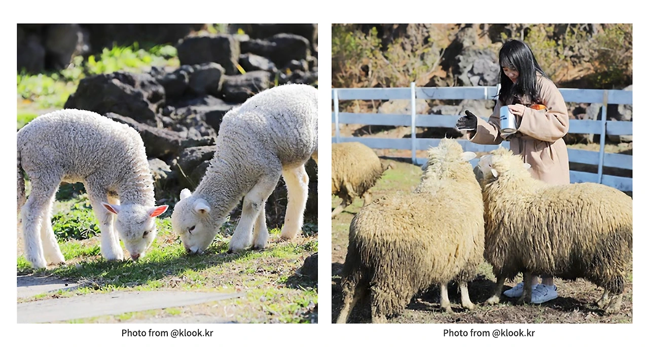 g4TvJn16duKBGu_wDwveZYrCPR91aqHD-oPL5z8LZFrY4IWi1u8rdS1NzX3ZcsPIfgNt1QlsrKW3gloVwstps_nf8MXVjyDHh20YR0OWzlR0y0-9g2gkQ9j0NdIozaJqdpClPdC-