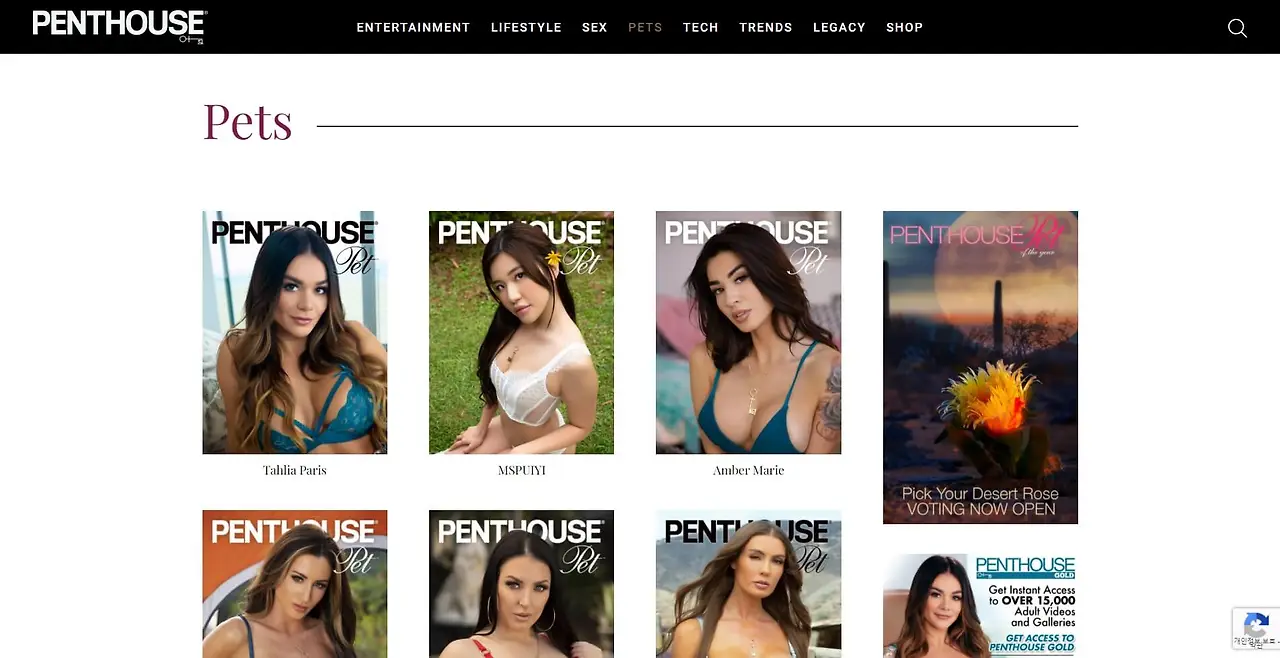 294b93bf-7c54-453b-8314-41a8cf20a693.jfif