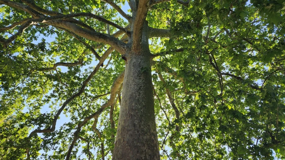 20230604_173111.jpg?type=w1