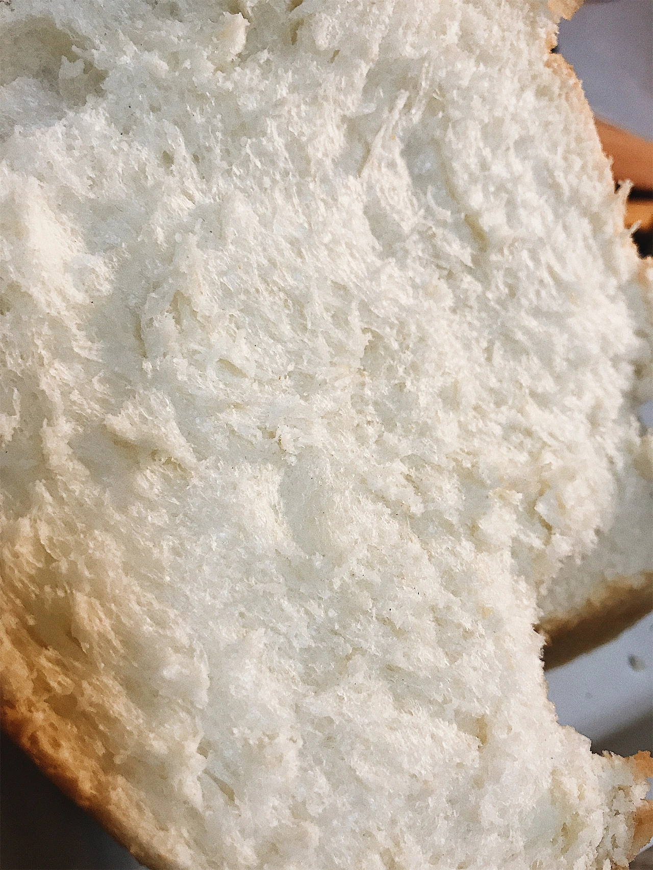 JPEG 이미지-4962FFA36F10-1.jpeg