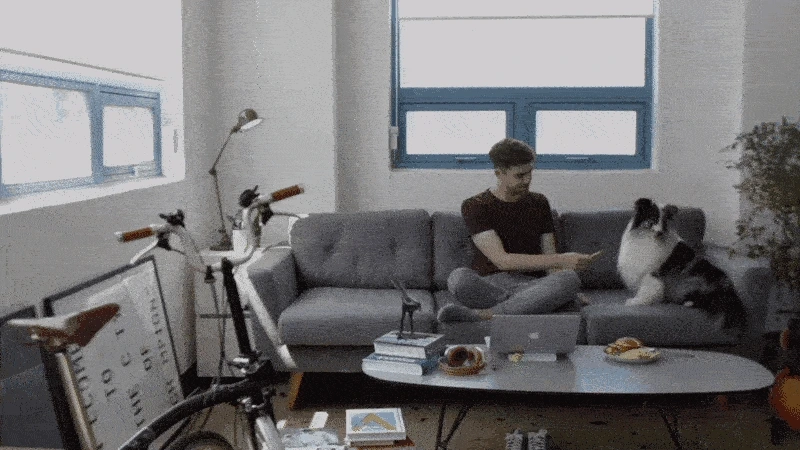 20170814122523651_113.gif?type=w1200