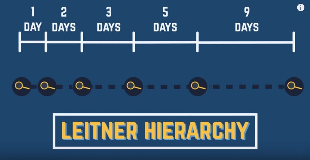 leitner hierarchy.PNG