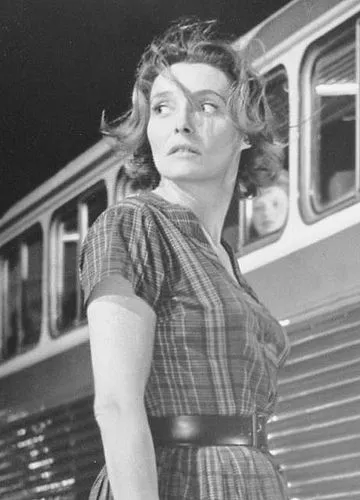 fdaa8fe71fae3b1473d3cdcbeb76878e.jpg?type=w966