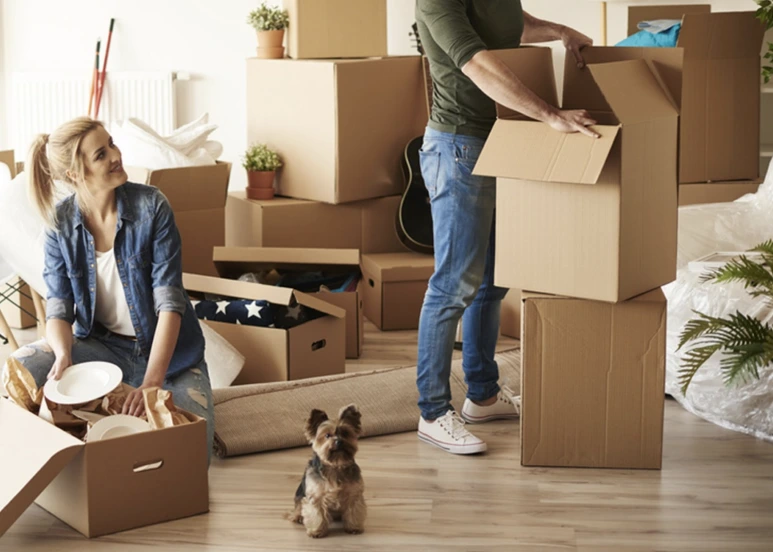 Screen_Shot_2021-02-04_at_11.17.00_PM.png?type=w773