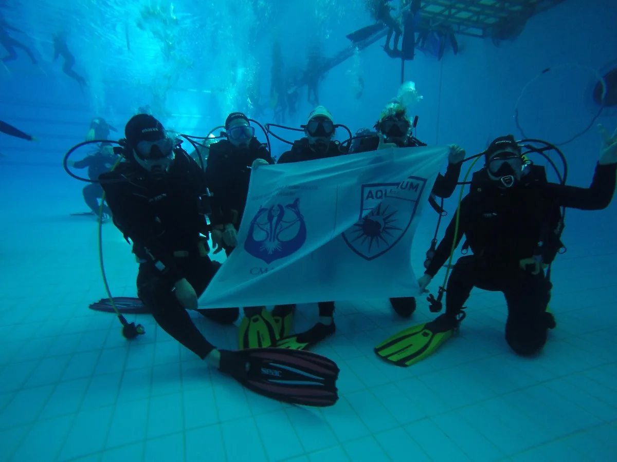 KakaoTalk_Moim_5i9p8lFat6w5ywUkPgqbf68kn8qBiy.jpg?type=w1200