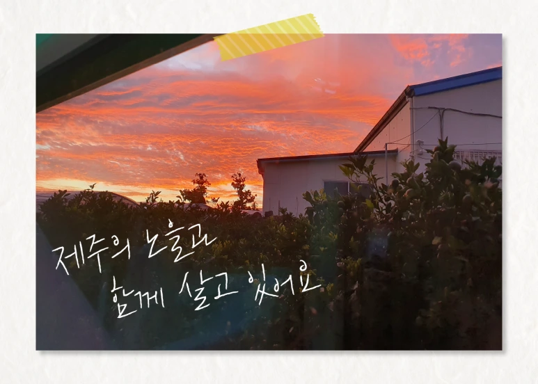 %EB%8C%80%EC%A7%80_1_%EC%82%AC%EB%B3%B8_4.png?type=w773