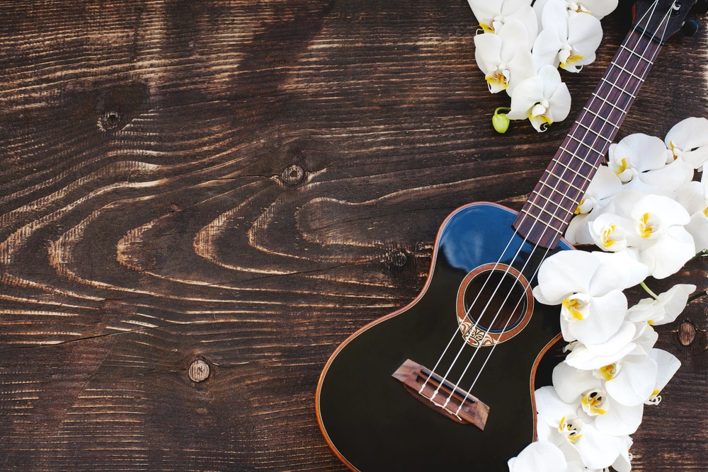 41934218_6106462546285_1676713197513474048_n.png?type=w1200