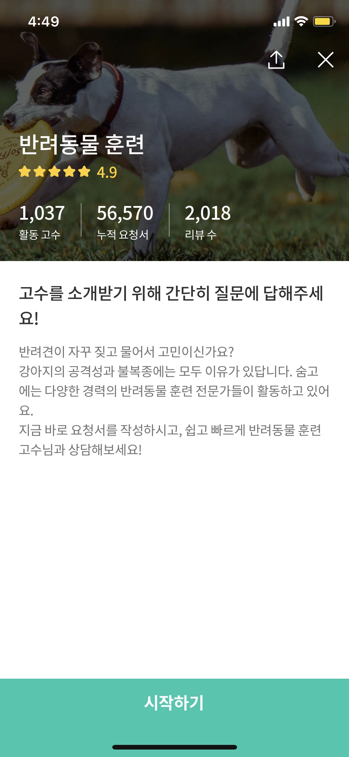 강아지훈련비용_1.PNG