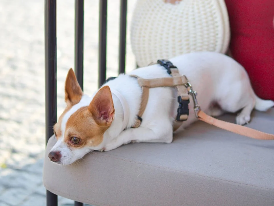 %EC%8B%AC%EC%9E%A5%EC%82%AC%EC%83%81%EC%B6%A9.jpg?type=w1200