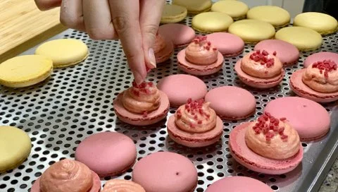 IMG_2761.jpg?type=w1