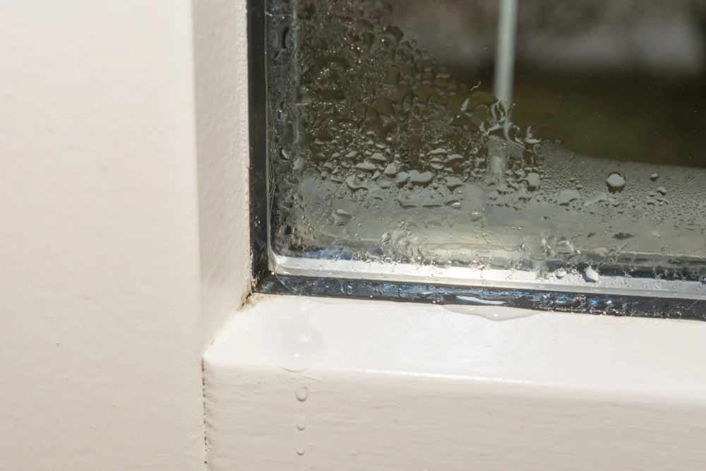 %EC%88%A8%EA%B3%A0_%EC%BD%94%ED%82%B9%EC%8B%9C%EA%B3%B5_%EA%B3%A0%EB%AA%85%EC%9E%AC%EA%B3%A0%EC%88%98_%EA%BF%80%ED%8C%812.png?type=w1200