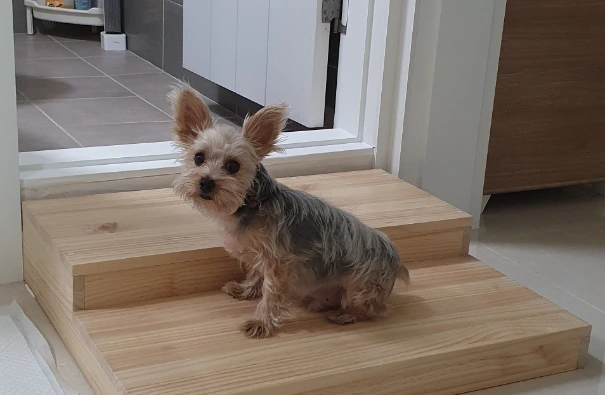 SE-27e19172-fce4-444f-bc35-58f496fcc488.jpg?type=w1