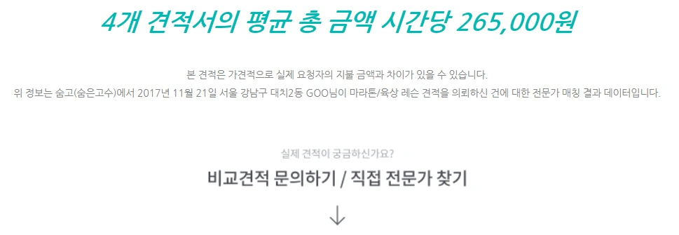 마라톤 육상 견적.PNG