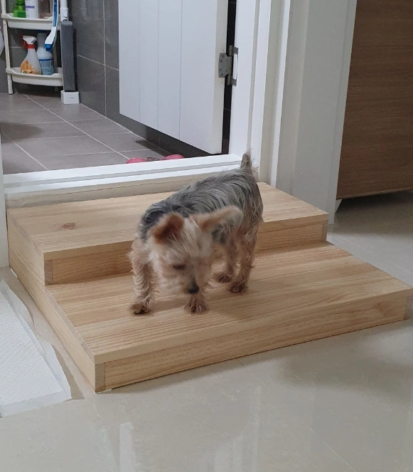 SE-07074c5e-9207-403d-b157-b5b9d524329b.jpg?type=w1