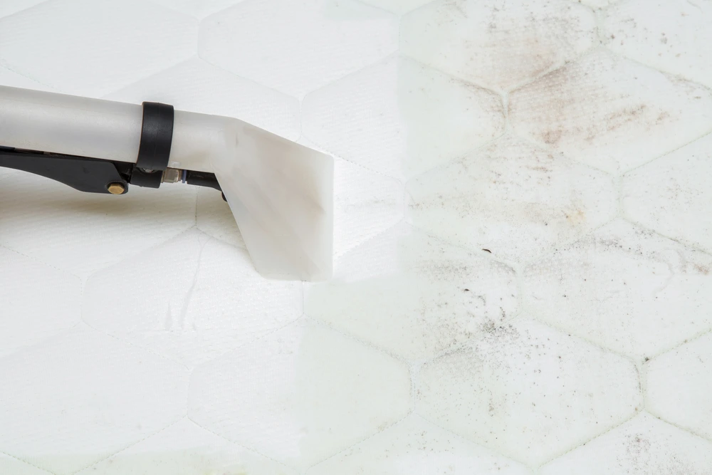 35506316_6099587198085_43738379279400960_n.png?type=w1200