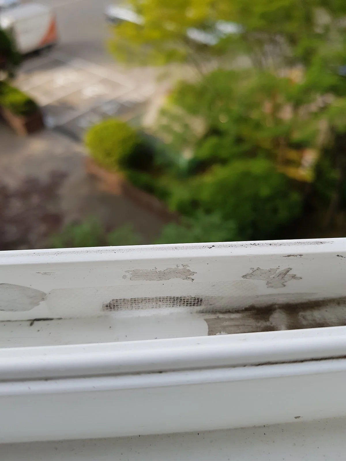 20180608_174128.jpg?type=w1200