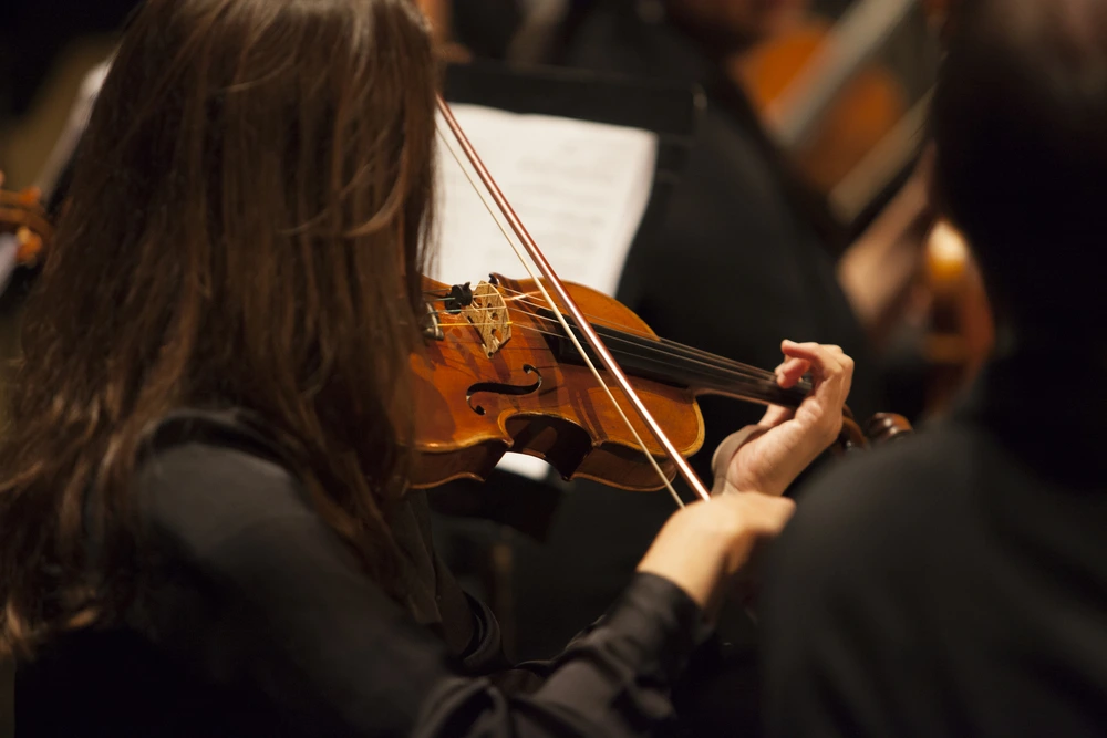 32376003_6096878114485_8318915154825707520_n.png?type=w1200