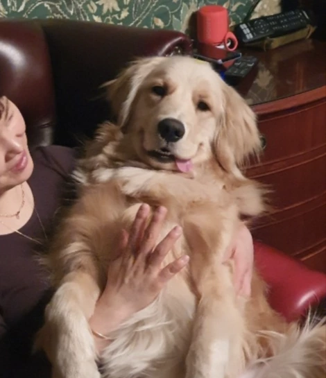 Screen_Shot_2021-02-05_at_12.01.44_AM.png?type=w773