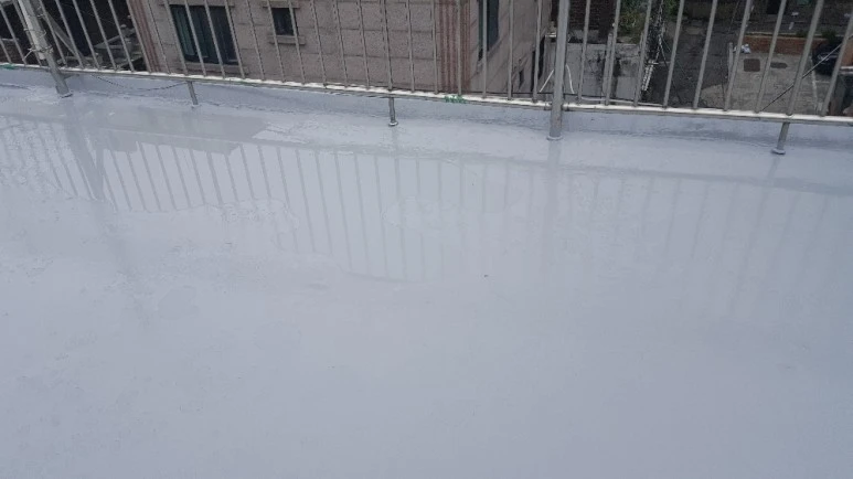 %EC%82%AC%EC%A7%843_(1).jpeg?type=w773