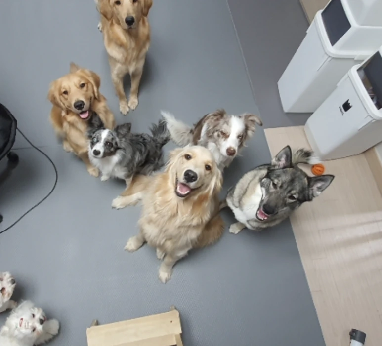 Screen_Shot_2021-02-05_at_12.06.09_AM.png?type=w773