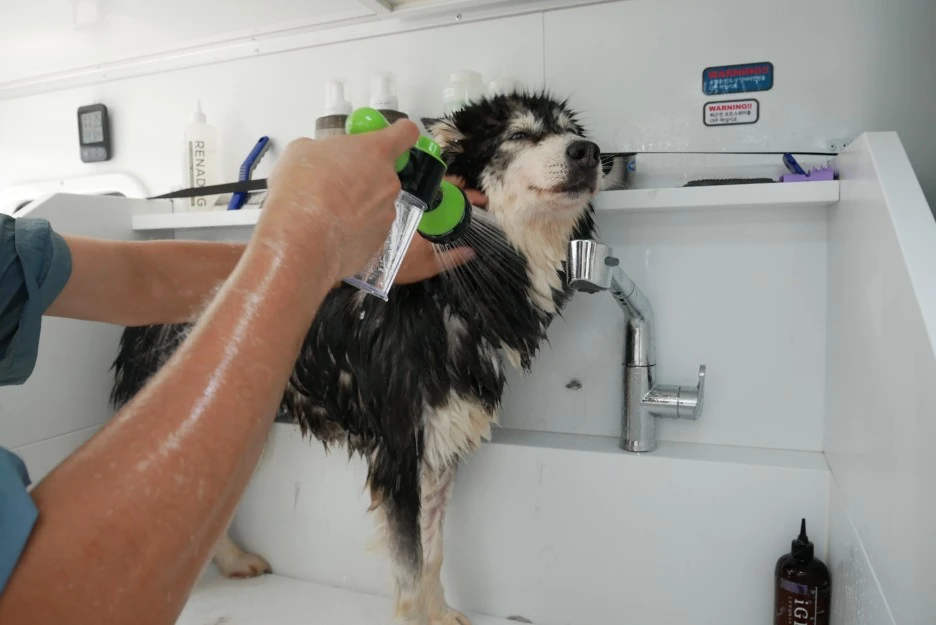 P1060542.JPG?type=w1