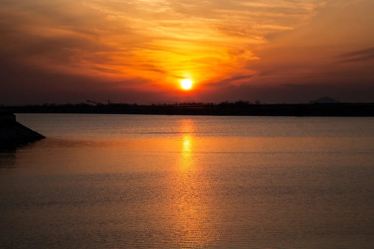 %EC%9D%BC%EB%AA%B0.jpg?type=w1200