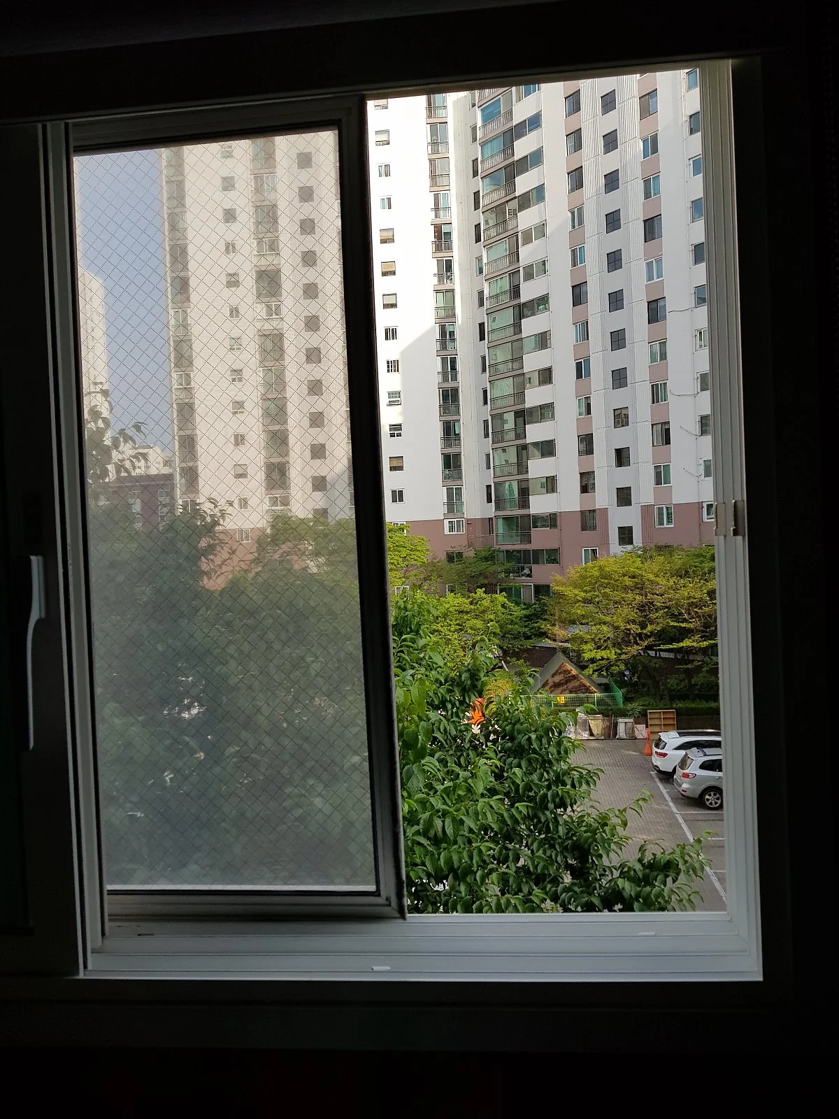 20180608_174417.jpg?type=w1200