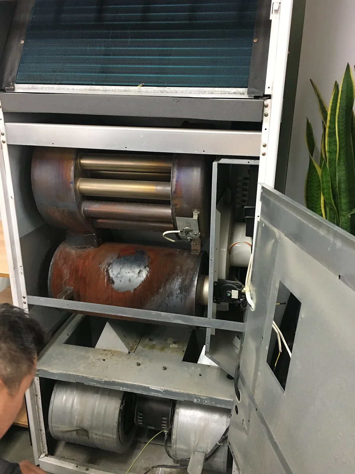 IMG_2460.JPG?type=w1200