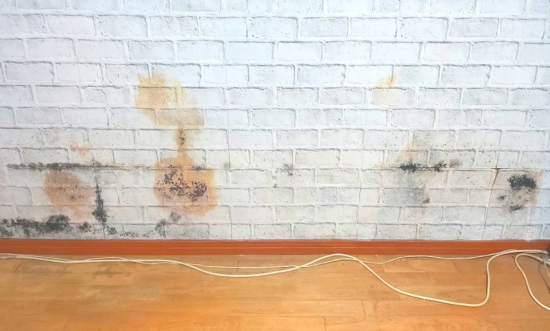 SE-7d398c6e-cbe7-4271-a37a-f07158e5f43d.jpg?type=w773