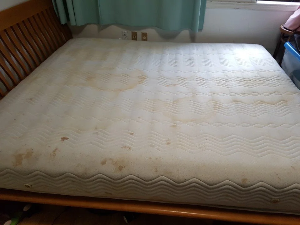 KakaoTalk_20180419_113007633.jpg?type=w1200