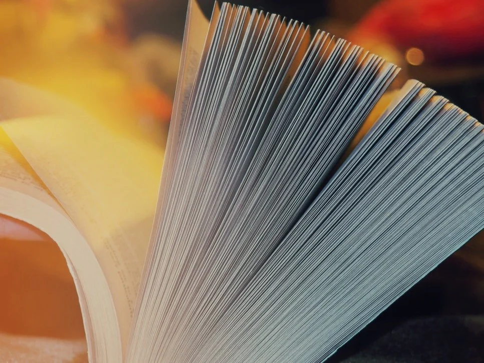 %EC%88%A8%EA%B3%A0_%EC%88%A8%EC%9D%80%EA%B3%A0%EC%88%98_%EA%B3%A0%EC%88%98%EC%9D%98%EA%BF%80%ED%8C%81_%EC%A0%9C%EB%B3%B8%EC%B6%9C%EB%A0%A5.jpg?type=w1200