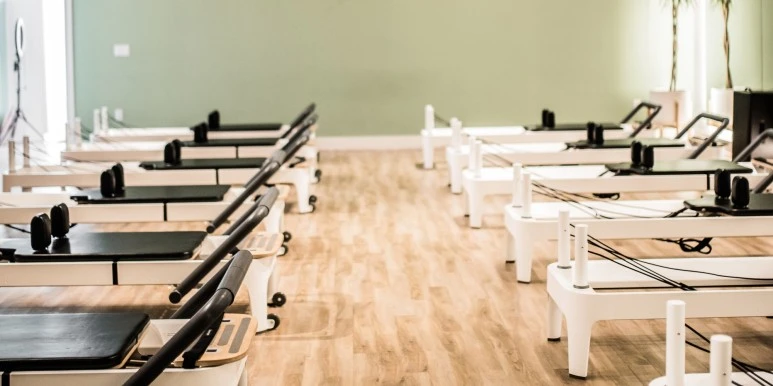 SE-d3031ec1-5129-451c-9730-bf825ae38664.jpg?type=w773