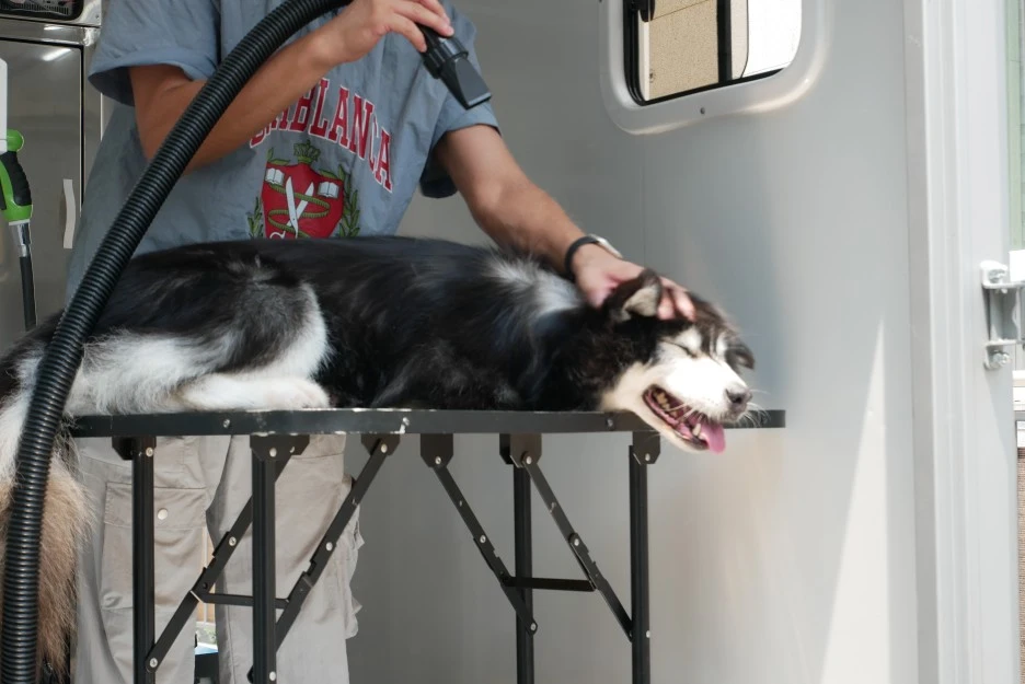 P1060561.JPG?type=w1