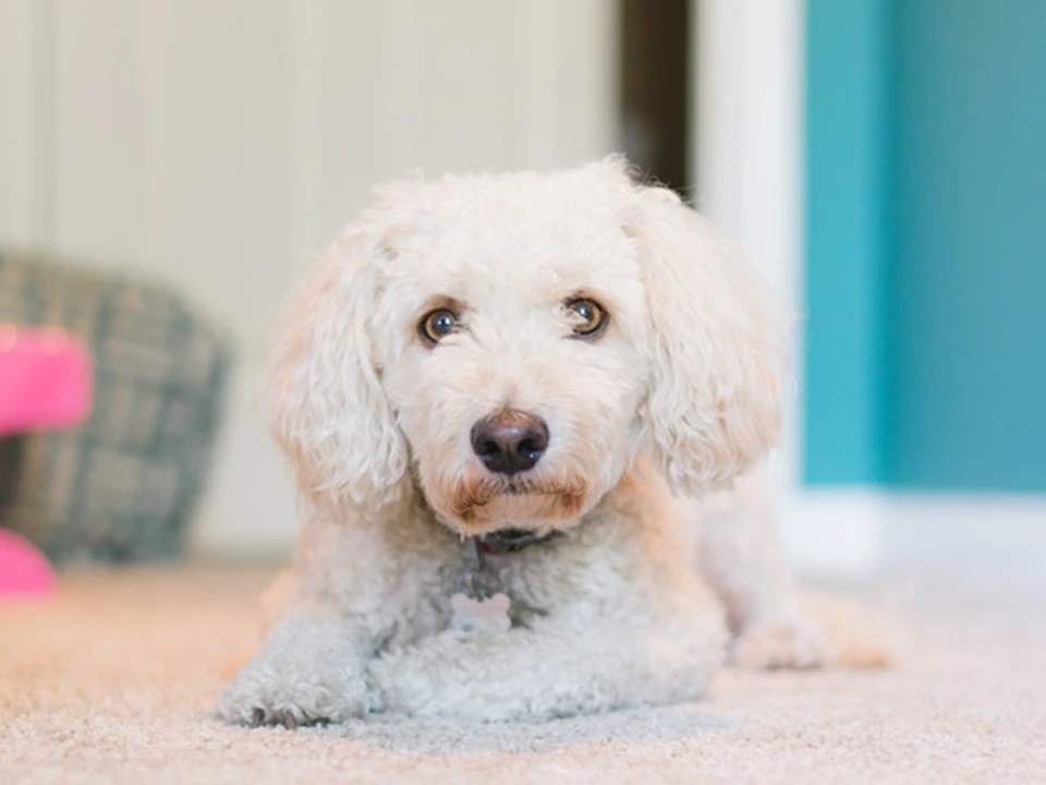 IMG_3780.png?type=w1200