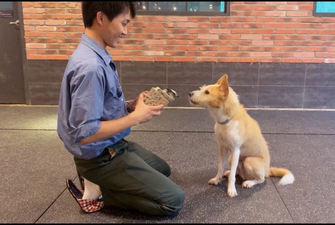 숨고_숨은고수_강아지훈련_반려동물관리사_강아지방문훈련_5.JPG