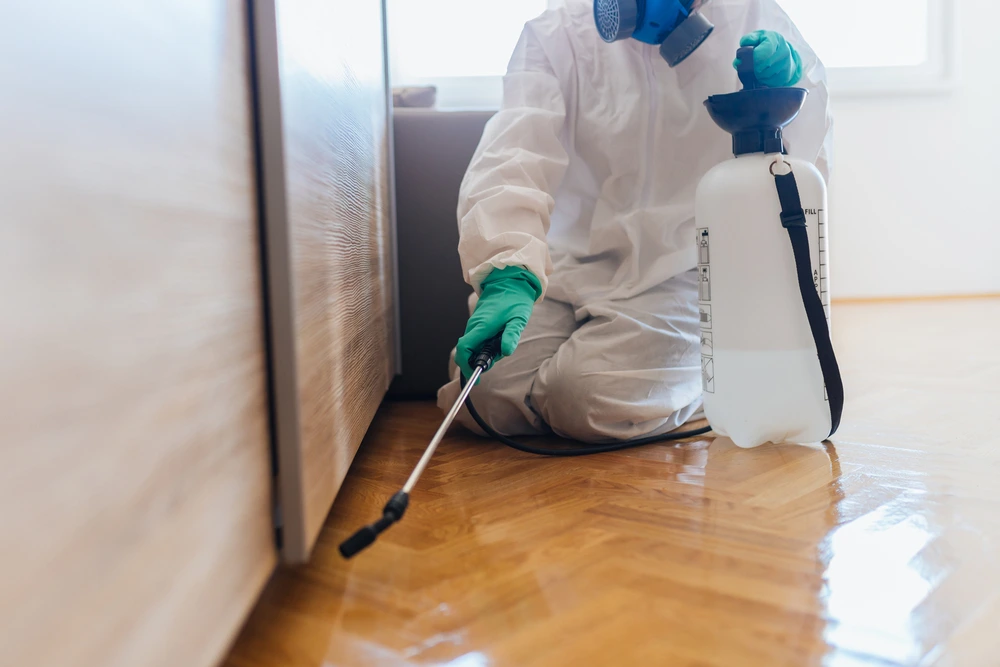 33042914_6097488465285_3522624973795491840_n.png?type=w1200