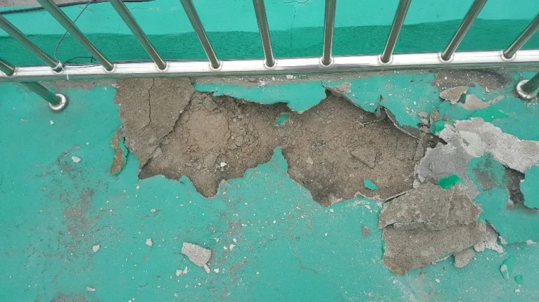 %EC%82%AC%EC%A7%842_(1).jpeg?type=w773